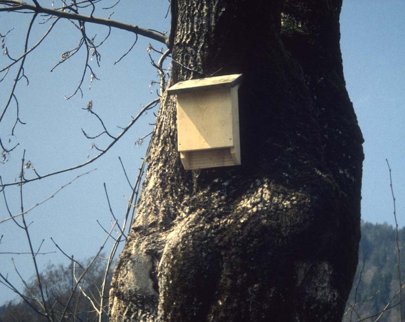 Ersatzquartiere bauen und betreuen