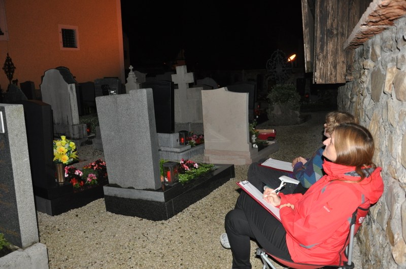 Fledermausquartiere betreuen